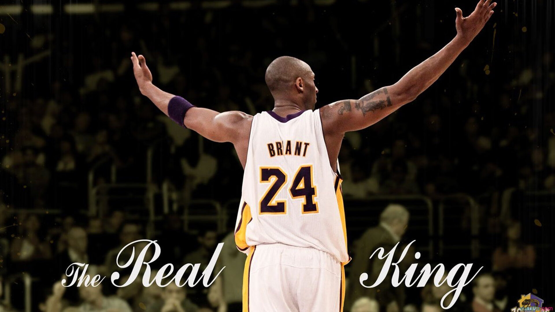 爱游戏app-西亚卡姆场均35+破局，日本队绝境求生，篮球世界的新秩序